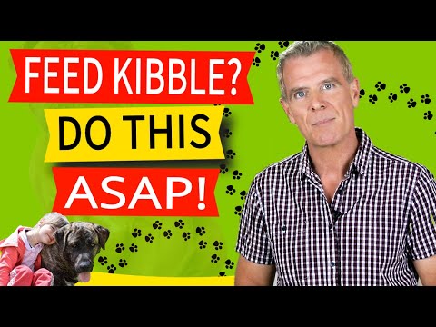 Is Dry Dog Food Bad For Dogs (7 Ways Kibble Creates Malnutrition & What To Do ASAP)