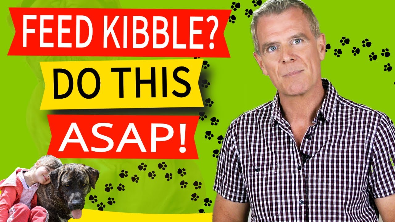 Is Dry Dog Food Bad For Dogs (7 Ways Kibble Creates Malnutrition  What To Do Asap)