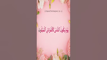 Sourate Al-Qariah | Noreen Siddiq (101) سورة القارعة | نورين صديق