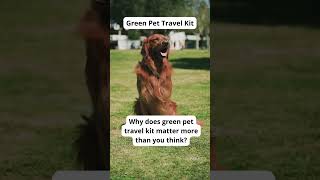Eco-Friendly Pet Care Tips | Sustainable Dog Hacks-Eco Tips for Dog Owners | GoEcoPaw Hacks