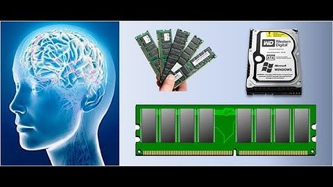 Introduction to Memories | 23MCT202-Design of Digital Circuits | SNS Institutions