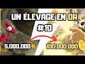 AVENTURE ÉLEVAGE DE ZÉRO ! #10 PREMIERS PARCHEMINS ET ANNONCE PROJET !
