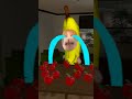 Hungry Bananacat #gmod 😺🍌