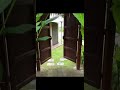 هذه الدنيا فما بالكم بالجنة 9 Ahbaboalquran هذه الدنيا فما بالكم بالجنة 9 Ahbaboalquran