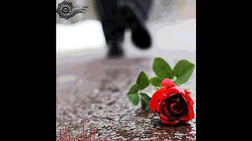 عباس سحاگی 