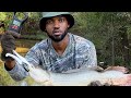 Fishing a roadside ditch pays off with multiple takedowns and big bowfin #fishing #fish #bigfish