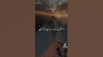 أجمل تلاوة من سورة السجدة بصوت القارئ عبد الرحمن مسعد #القرآن_الكريم#راحة_نفسية🤍🎧