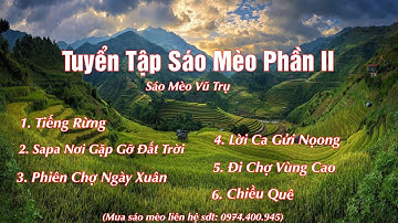 Tuyển Tập Sáo Mèo Phần II | Sáo Mèo Vũ Trụ