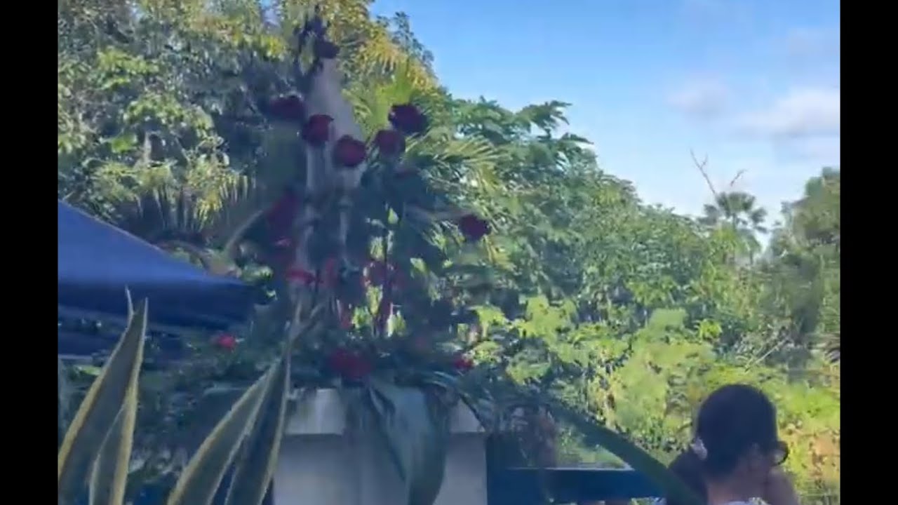 Happy fiesta Santa Lourdes, thank you for your intercession to god Jesus my redeemer #prayer #asmr 