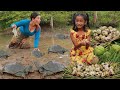 Mother with daughter found pick a lot egg quail and catch many turtle in flood forest for food