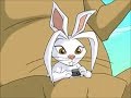 Jackie chan adventures  jackie and jade transforms into kangaroo and rabbit