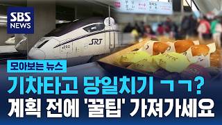 Planning a Day Trip by Train Check Out These Pro Tips First / SBS / News Roundup