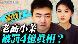 老高小茉遭「遠洋捕撈」罰4億？內幕流出：300位大V黑名單曝光！川普愚人節會晤習近平暗藏玄機；北京藍太陽與廣東祭神怪事，天降異象必有妖？｜薇羽看世間 20260222