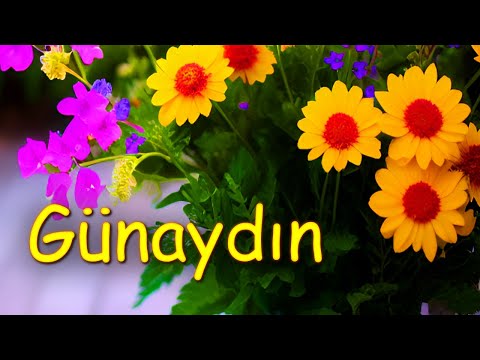 Günaydın | Bilgelik ve kararlılıkla uyan | İlahi mesaj