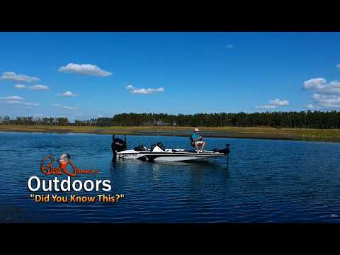"Did You Know This?" | Bill Dance Outdoors TV