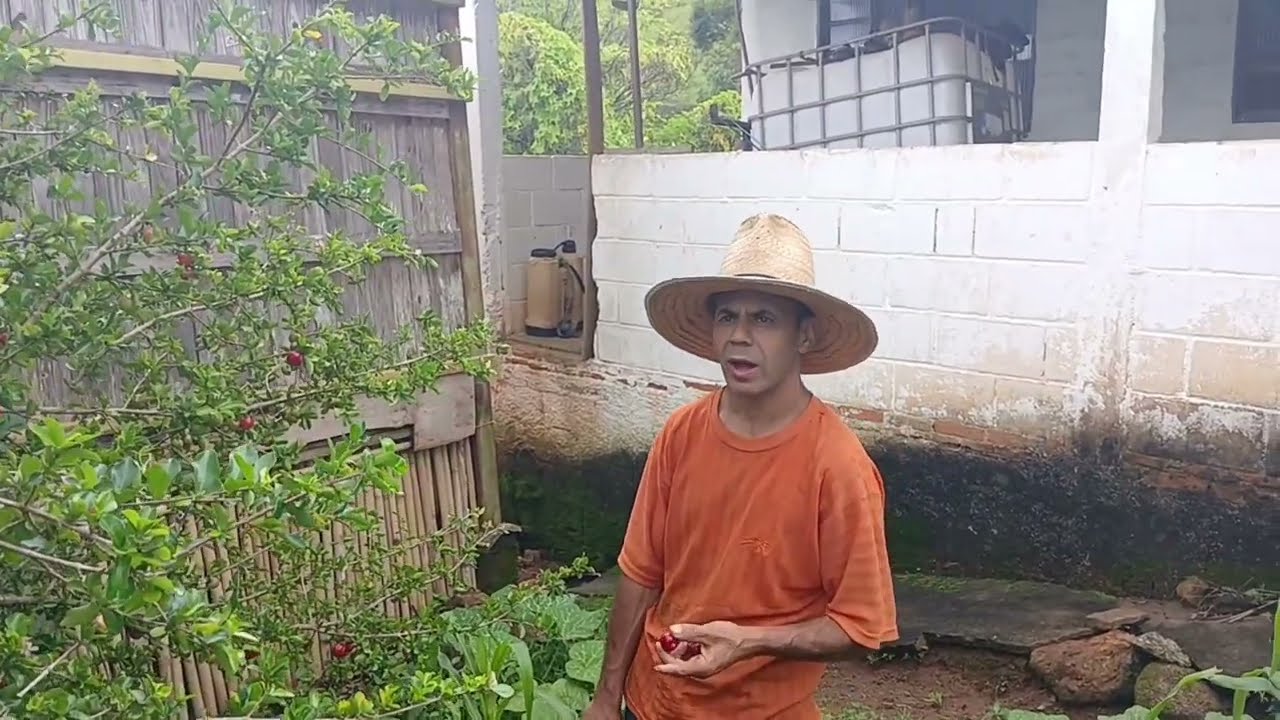 COMEÇAMOS NOSSO DIA ASSIM AQUI NO SÍTIO 🤠 arrumando o giral pro maracujá e roçando o mato.