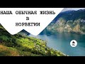 Влог - наша обычная жизнь.