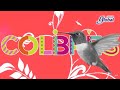 Llama a los colibríes, aquí te decimos cómo- UNAM Global