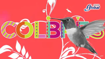 ¿Cómo atraer colibríes rápido?