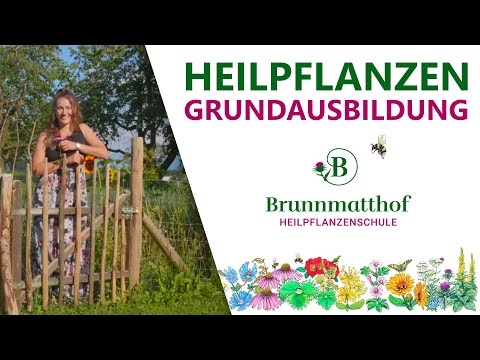 Grundausbildung zur Heilpflanzenfachperson | Brunnmatthof Heilpflanzenschule