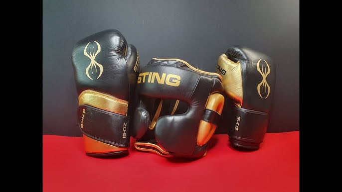 STING EVOLUTION FIGHT GLOVE REVIEW - BOXING GLOVES 