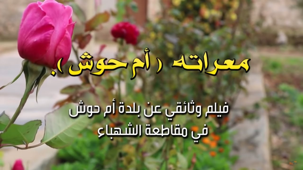 فيلم وثائقي عن بلدة أم حوش