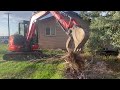 Tree Stump Removal