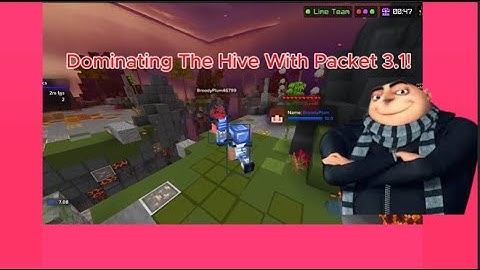 Dominating The Hive With Packet 3.1 (Packet 3.1 Got Leaked And Cracked??) (Back)