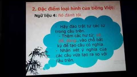 So sánh các loại hình ngôn ngữ năm 2024