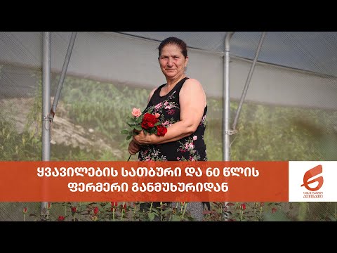 \"აქაურობა სიცოცხლეს მიხანგრძლივებს\" - ყვავილების სათბური და 60 წლის ფერმერი განმუხურიდან