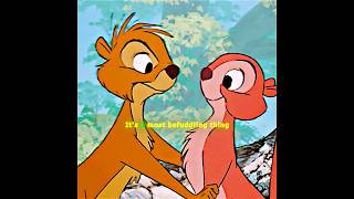 Squirrels only fall in love with one mate in their lifetime.#shorts #edit #MovieClips #squirrels