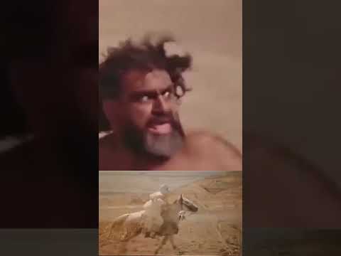 عمرو بن العاص الفرار الفرار 