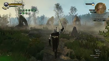 Messing Around in Witcher 3