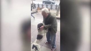 3 Yıl Önce Kaybolan Köpeğin Sahibi ile Buluşma Anı