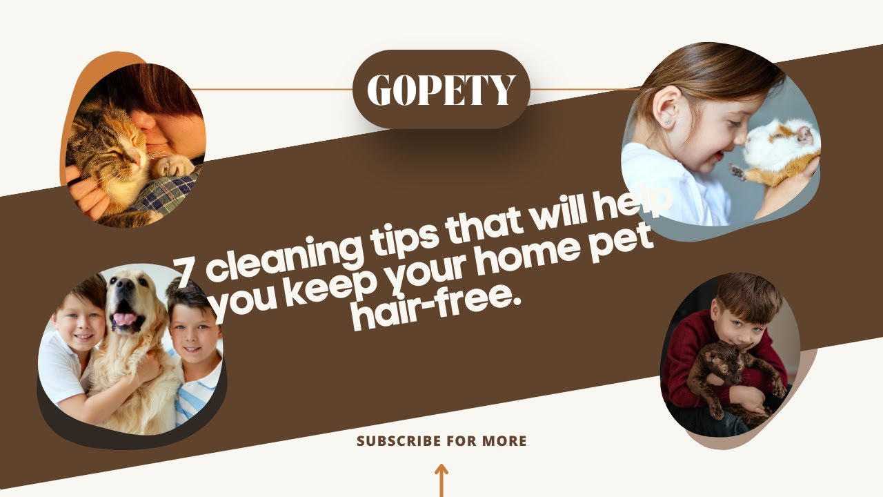 10 Cleaning Tips for Keeping Your Home Pet HairFree YouTube