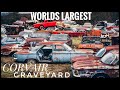 Worlds Largest Chevrolet Corvair Graveyard