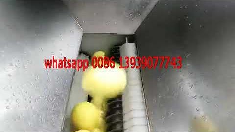 lemon juice juicer extractor machine lime juice extraction making processing machine