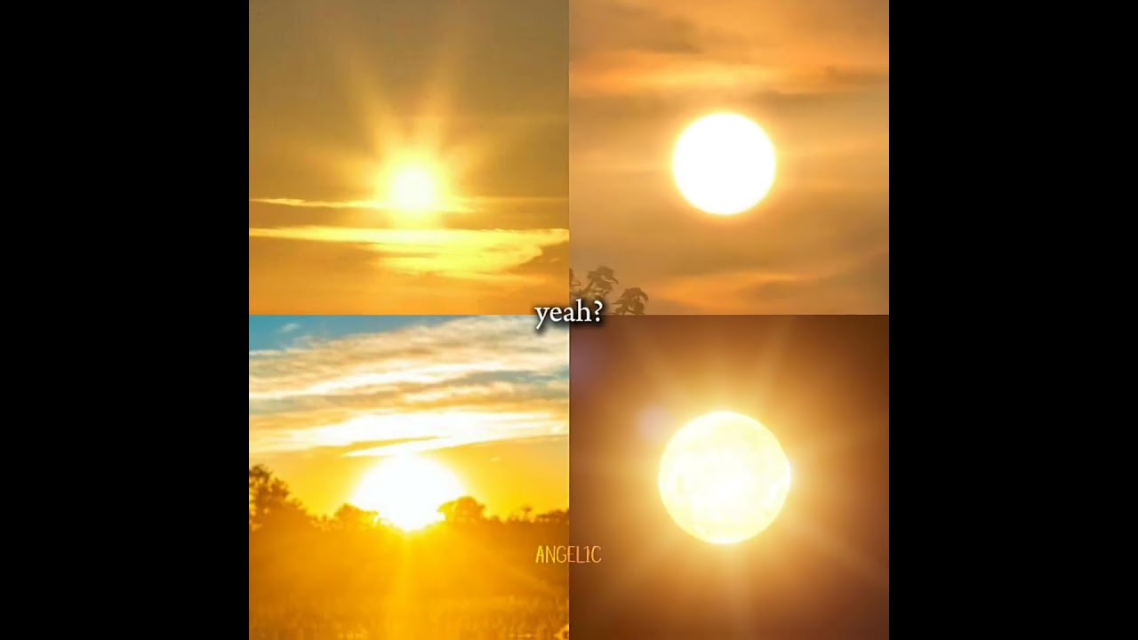 the beauty of nature ✨ 