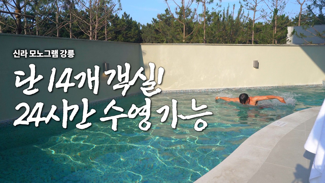 강릉 신라모노그램 총정리 - 수영장 딸린 객실 vs 환상적인 뷰의 초고층 객실, 여러분의 선택은?