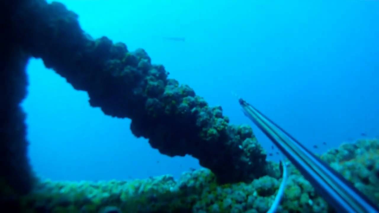 Spearfishing Louisiana Oil Rigs YouTube