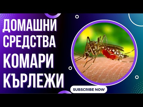 Видео: Как да преместите къща (със снимки)