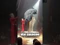 Ele Fez o Elefante Desaparecer!😱🐘(@troplanduniverse) #elefante #mágica #curiosidades
