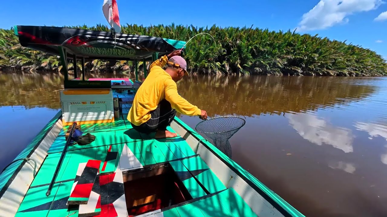 Seru dan Menegangkan. Pancing saya dimakan ikan besar dan banyak dapat udang besar