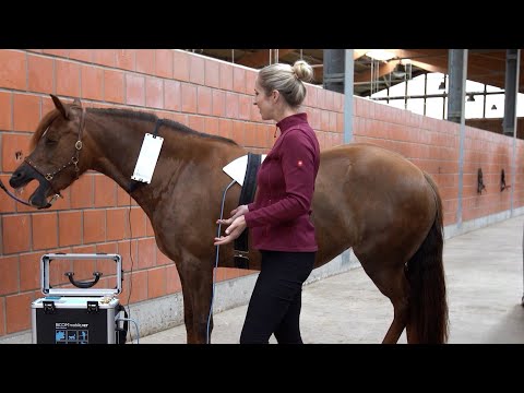 Video: Milprazon Für Katzen: Gebrauchsanweisung, Indikationen Und Kontraindikationen, Nebenwirkungen, Bewertungen Und Analoga