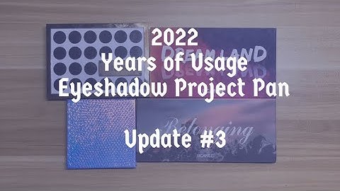 2022 Years of Usage Eyeshadow Project Pan | Update #3