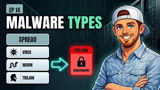Virus, Worm, Trojan, Ransomware - What Actually Makes Them Different
