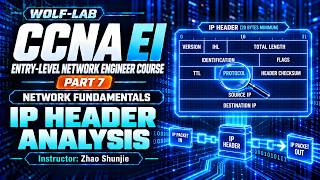 CCNA EI Training #7: IP Protocol Header Analysis Explained