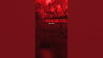 FloyyMenor GATA ONLY Ft Cris MJ Lyrics Aesthetic Crismj Floyymenor 