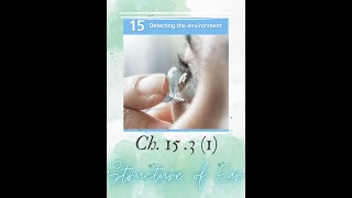 Biology｜Ch.15.3 (1)｜Detecting the Environment 環境的感知｜GoThrough｜Structures of Human Ear