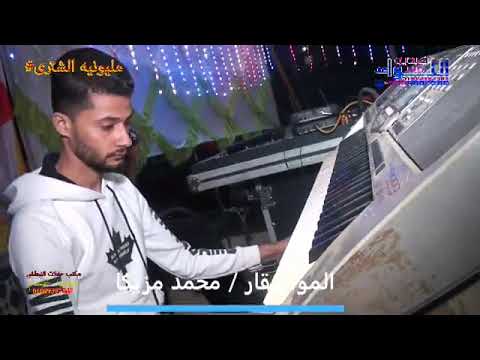 فرحه الشترى موسيقار محمد مزيكا مكتب حفلات النبطشى محمد حسام